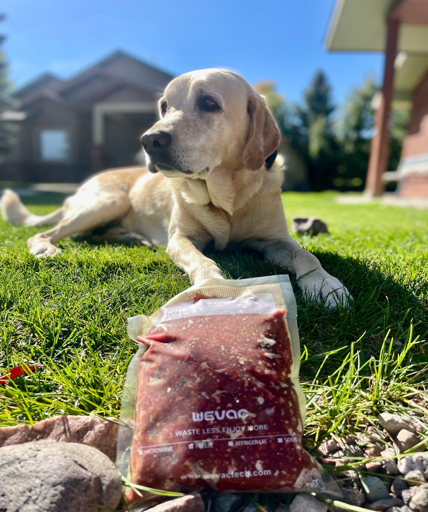 Pet Blend