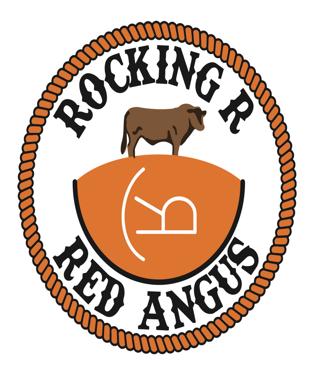 London Broil Rocking R Beef