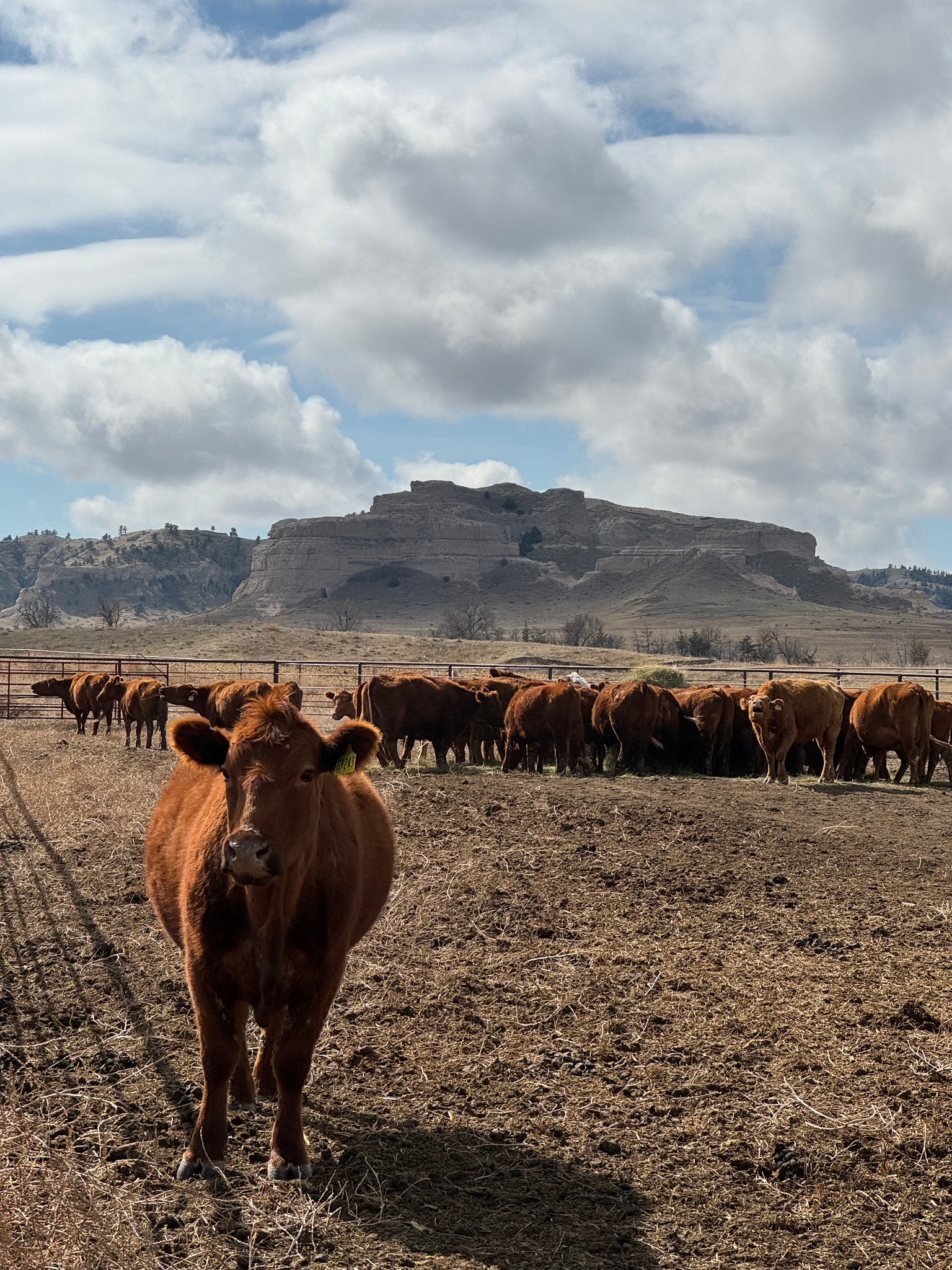 Colorado to Nebraska: Part 3- The Future of Rocking R Ranch