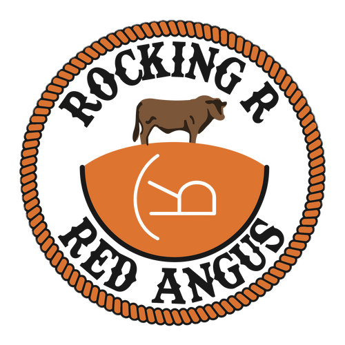 Rocking R Beef